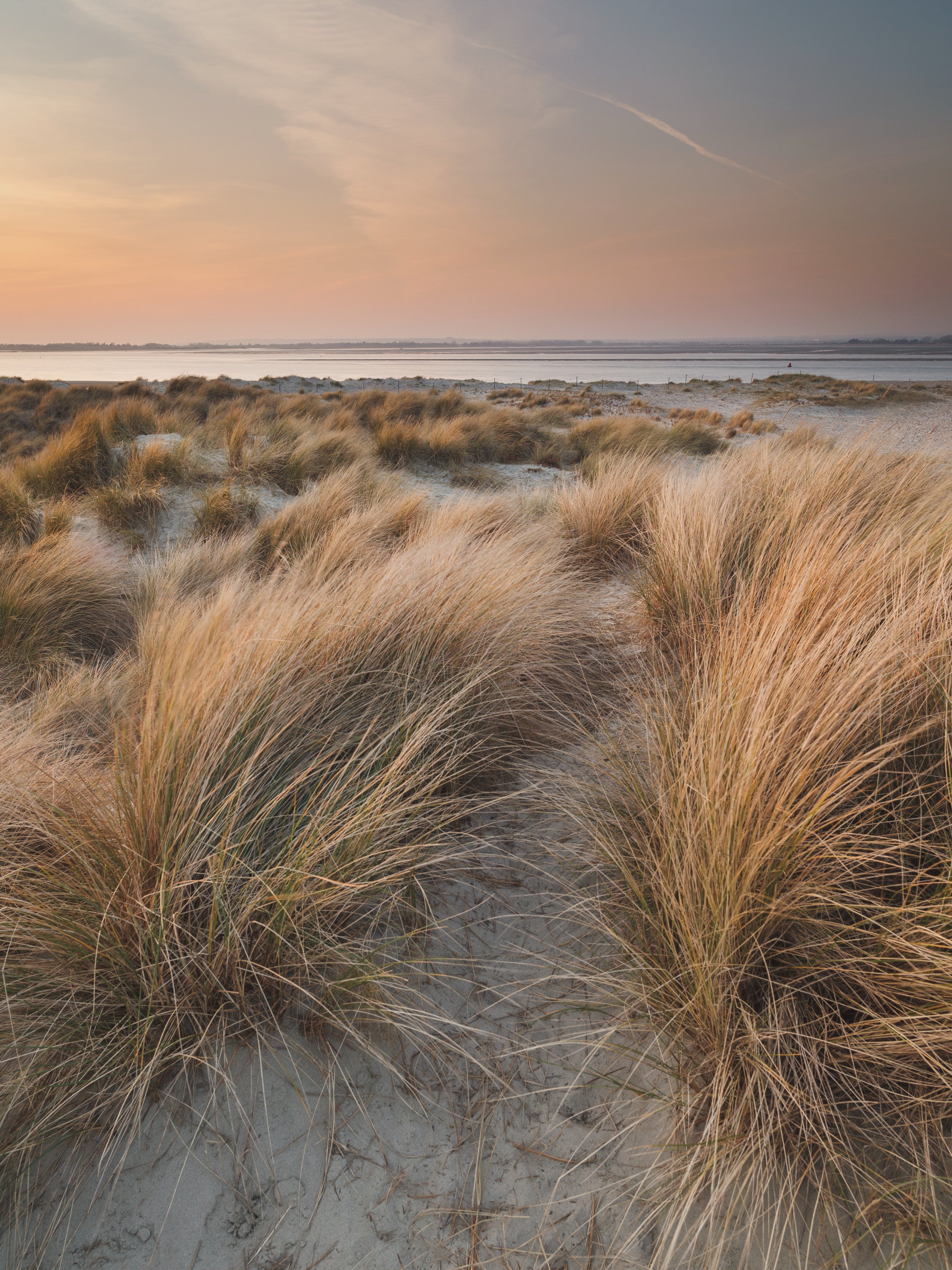 Sand dunes and grass facing the sea at the Witterings