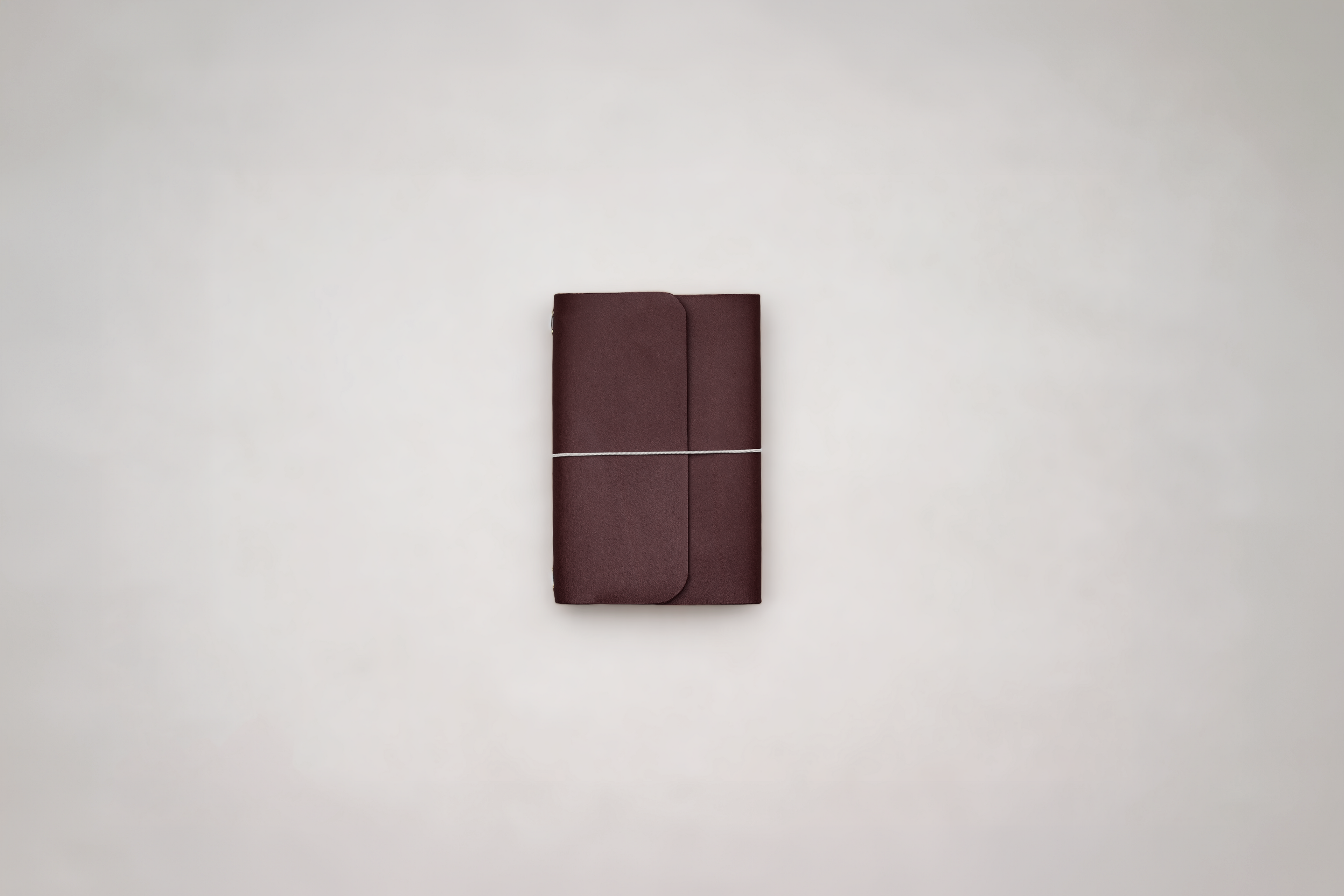 The Mini Journal
